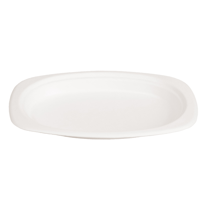 Plant Fibres Dinner Plate DF-116