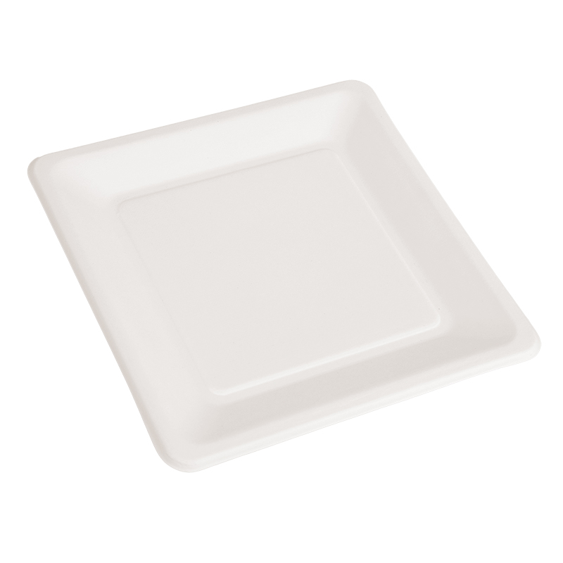 Plant Fibres Dinner Plate DF-203